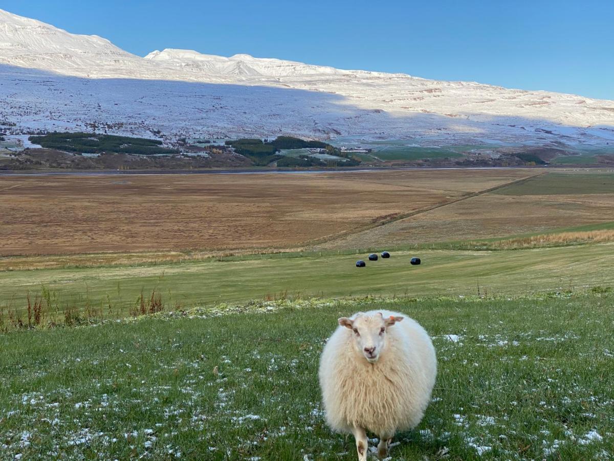Lamb Inn Oengulsstadir Ακουρέιρι Εξωτερικό φωτογραφία